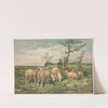 Study of sheep ( after F. Brissot) (1891) by Louis Prang & Co.