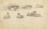 Study of Sheep