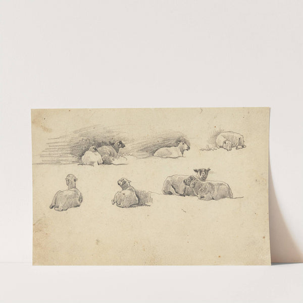 Study of Sheep by Cornelius Varley