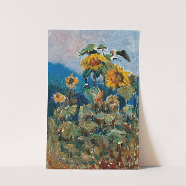 Study of Sunflowers by Marie Egner