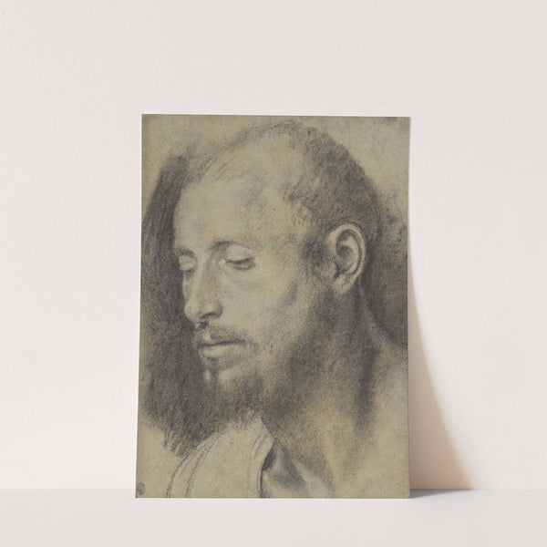 Study of the Head of a Bearded Man by Giovanni Girolamo Savoldo