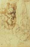 Study of the Head of a Bearded Man (1525)