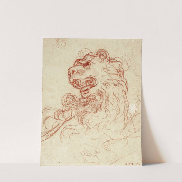 Study of the Head of a Lion by Baldassarre Franceschini