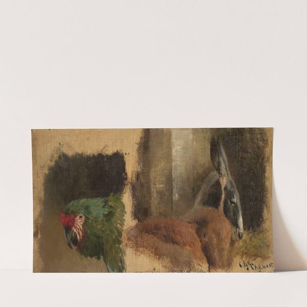 Study of the head of a parrot and the head of a kangaroo (1885) by Curt Agthe