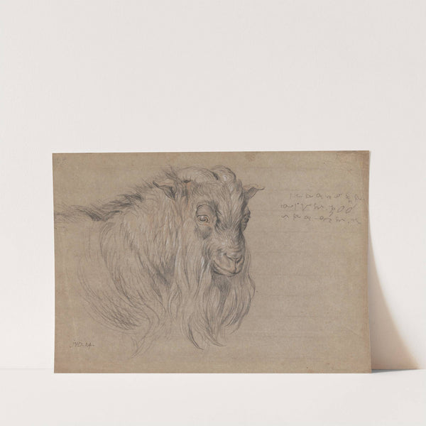 Study of the Head of a Ram by James Ward