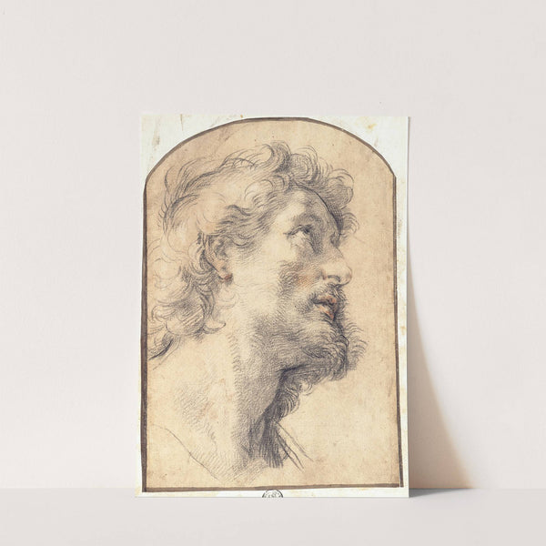 Study of the Head of Saint Crispin by Benedetto Luti