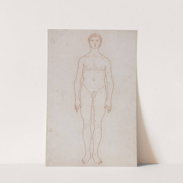 Study of the Human Figure, Anterior View (1795 to 1806) by George Stubbs