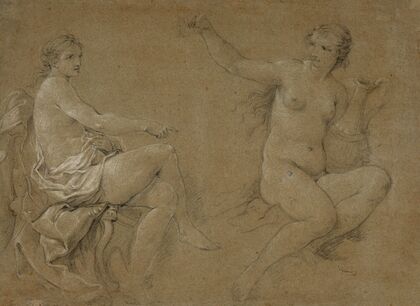 Study of the nymphs