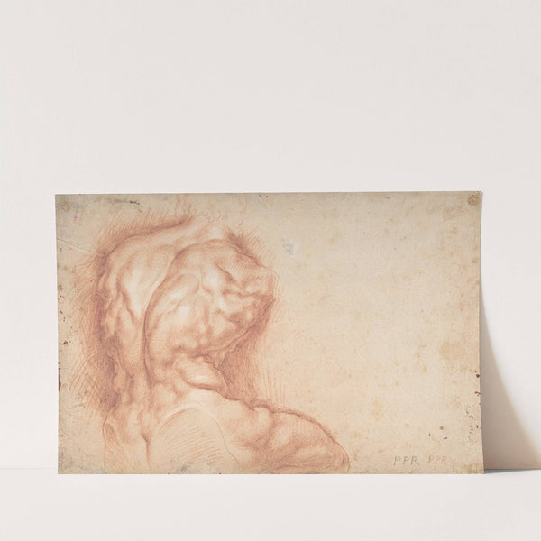 Study of the Torso Belvedere by Peter Paul Rubens