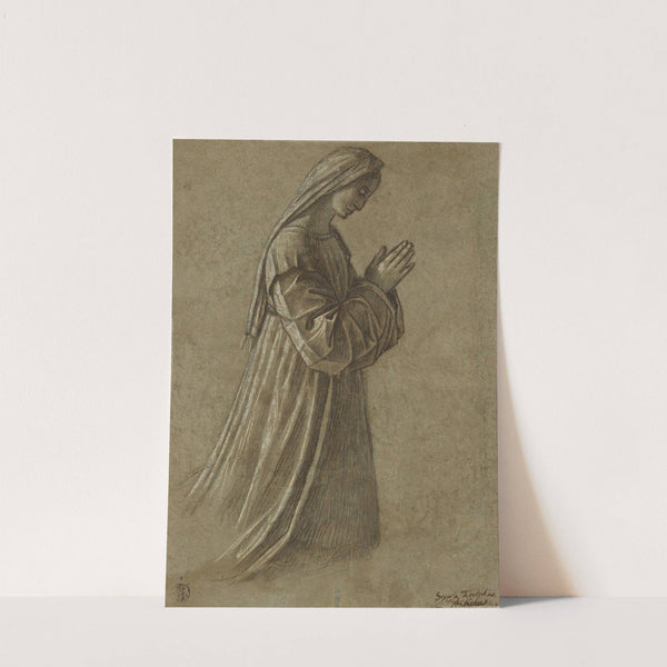 Study of the Virgin by Vittore Carpaccio