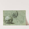 Study of Three Skulls by Anonymous