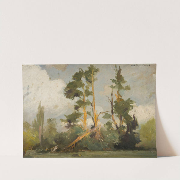 Study of Trees by Karl Maria Thuma