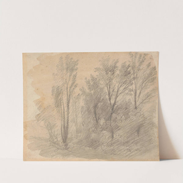 Study of Trees by Thomas Gainsborough