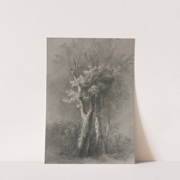 Study of Trees by Jean-Jacques de Boissieu