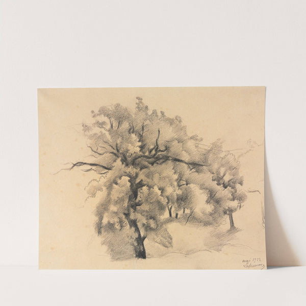 Study of Trees (1922) by Roger de La Fresnaye