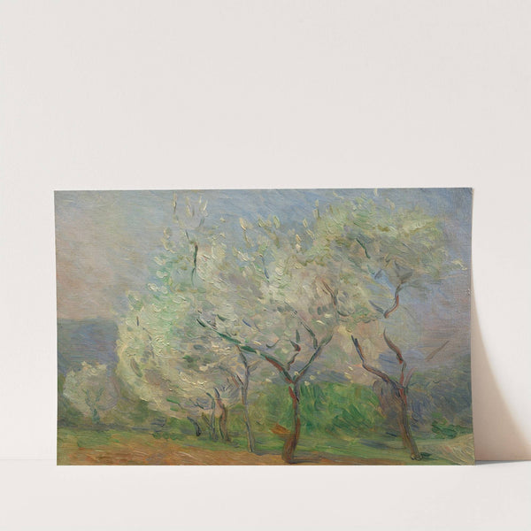 Study of trees by Marie Bracquemond