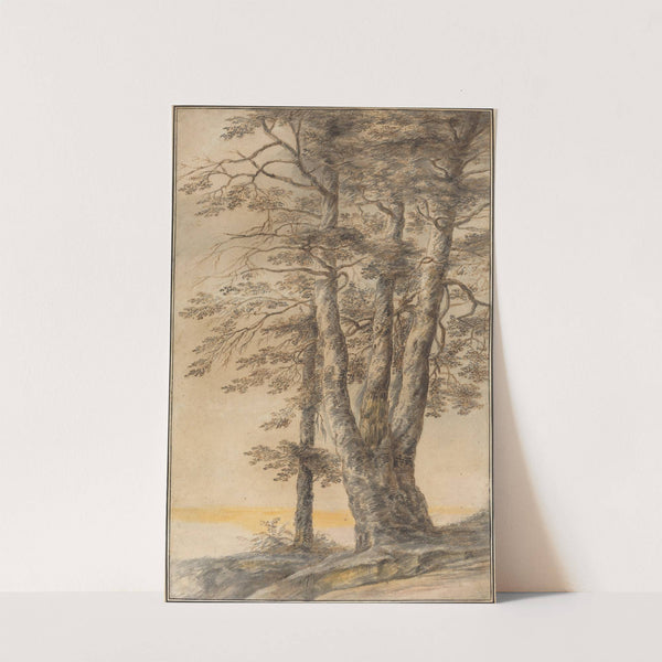 Study of Trees by Lucas van Uden