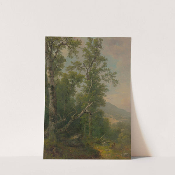 Study of Trees (ca. 1850) by Asher Brown Durand