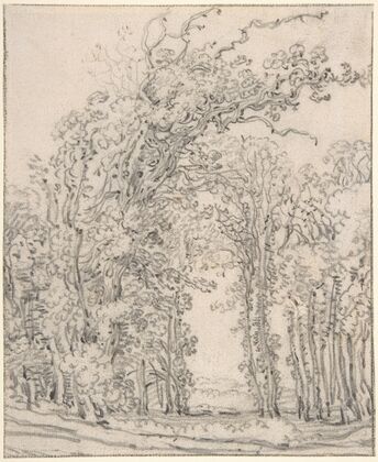 Study of Trees — size preview