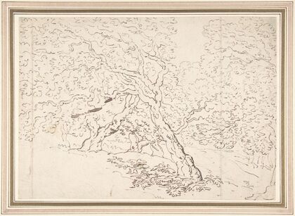 Study of trees