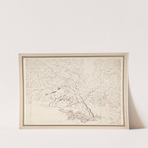 Study of trees by Thomas Rowlandson