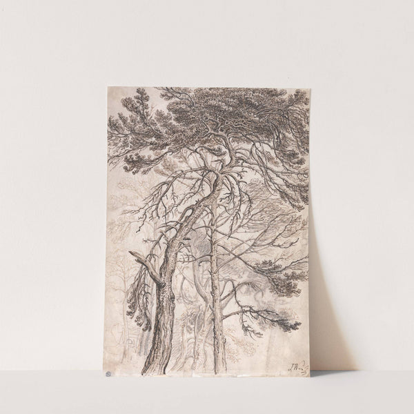 Study of Trees by James Ward