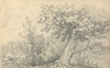 Study of Trees and Shrubs