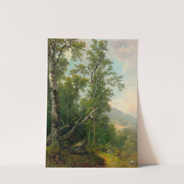 Study of Trees (1850) by Asher Brown Durand