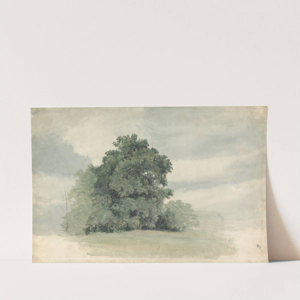 Study of Trees at the Edge of a Field by Cornelius Varley