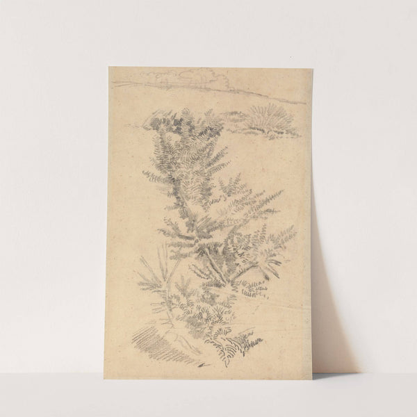 Study of Trees, etc., in a Meadow by George Richmond