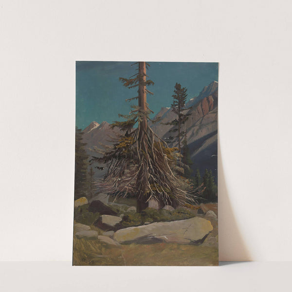 Study of Trees in the Alps (1850) by Knud Baade