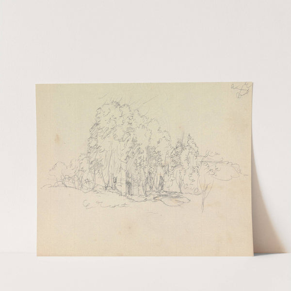 Study of Tress and Vegetaion Growing Over Ruins by James Moore