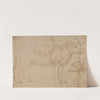 Study of Two Bovine Animals by The Veneto