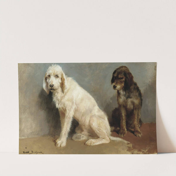 Study Of Two Dogs by Rosa Bonheur