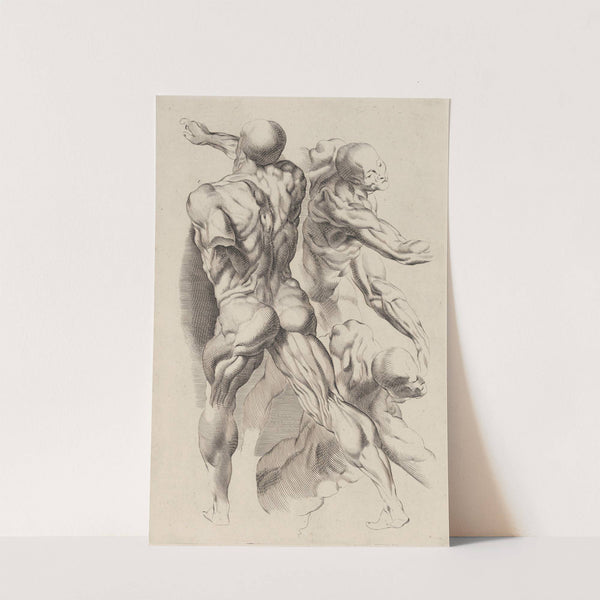 Study of Two Naked Men by Peter Paul Rubens