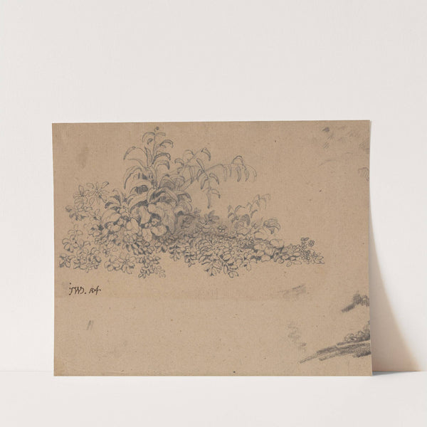 Study of Undergrowth by James Ward