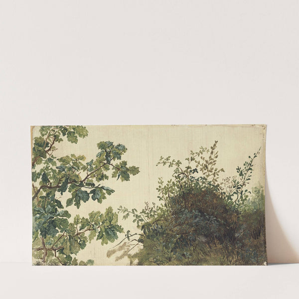 Study of Vegetation by Kilian Zoll