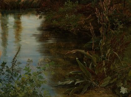 Study of Water and Plants