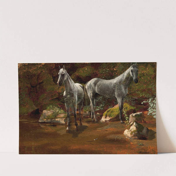 Study of Wild Horses by Albert Bierstadt