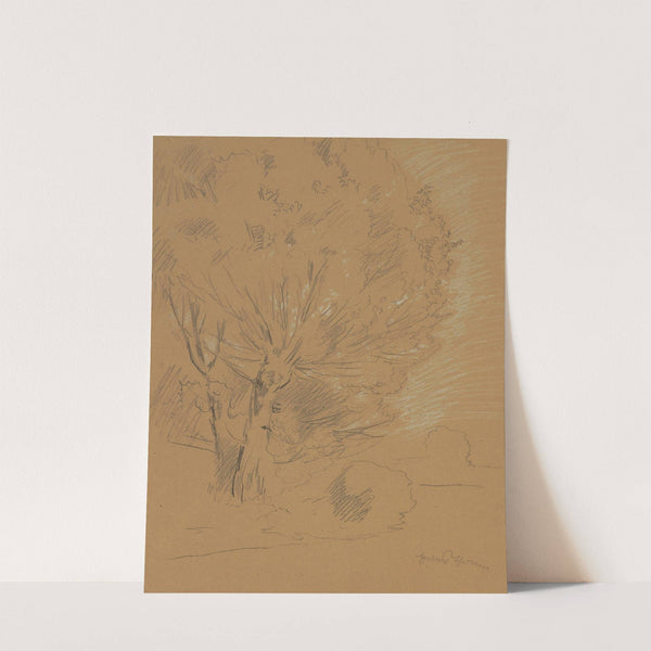 Study of willow (1880 - 1920) by Hans Thoma