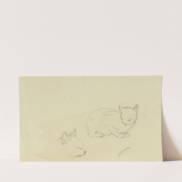 Study sheet; Cats by Jakob Becker