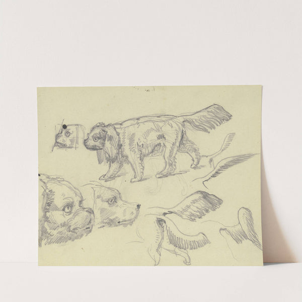 Study sheet; Dogs by Ferdinand Fellner