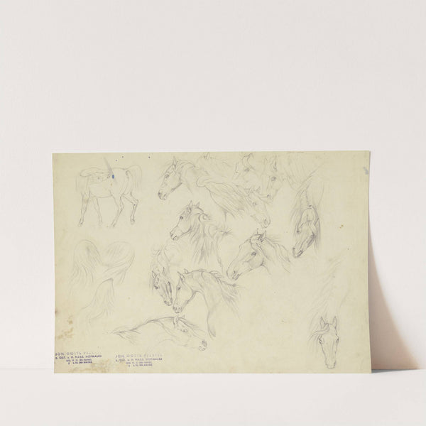 Study sheet; Horses' heads by Johann Erdmann Gottlieb Prestel