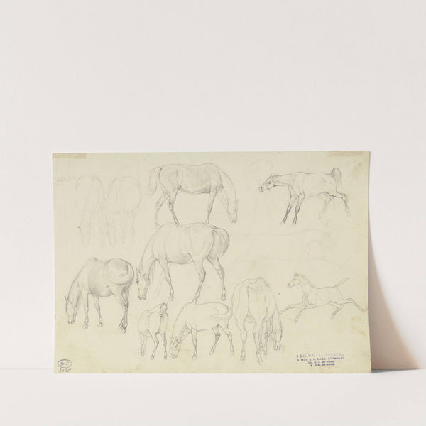 Study sheet; Horses by Johann Erdmann Gottlieb Prestel