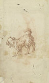 Study sheet; two dogs