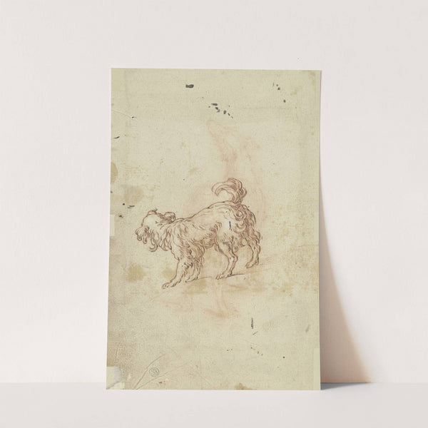 Study sheet; two dogs by Abraham Bloemaert
