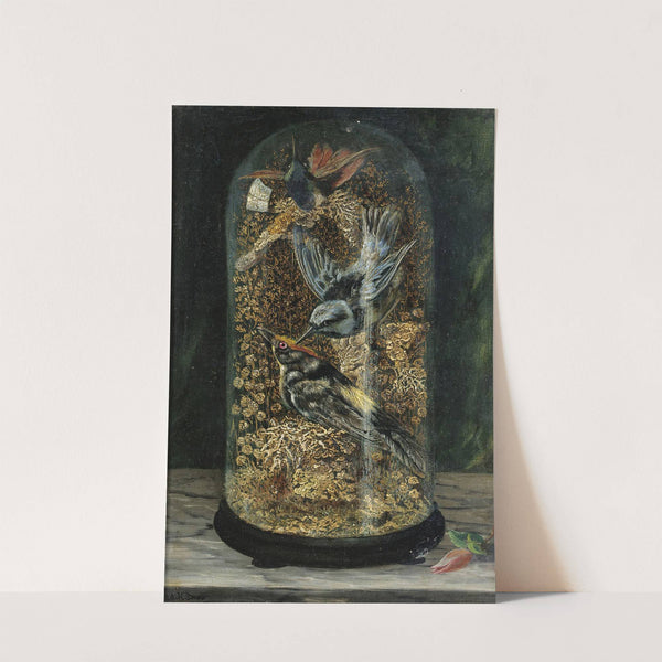 Stuffed Birds In A Dome by Arthur H. Davis