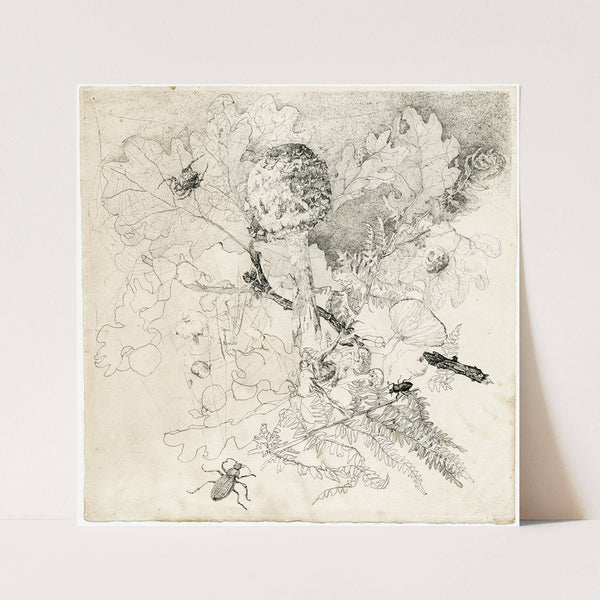 Stukje bos met insecten, paddestoel, varens by Theo van Hoytema