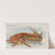 Sturgeon (1889) by Allen & Ginter