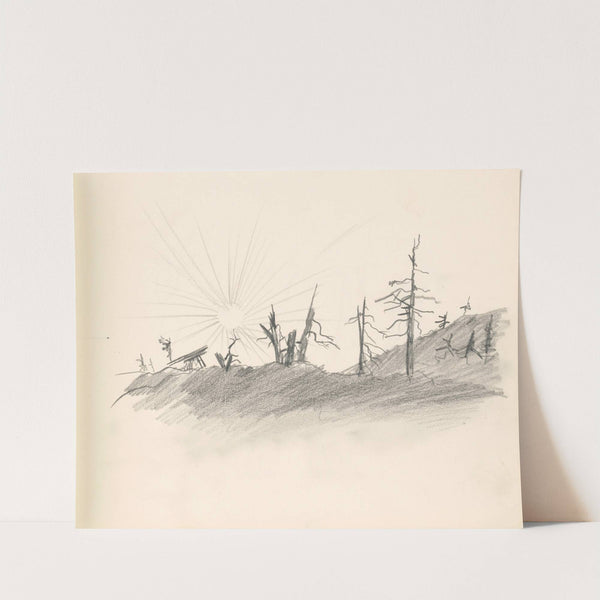 Suché stromy pri východe slnka by Ján Novák